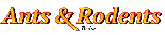 Boise Ant Exterminator & Rodent Control Company Logo